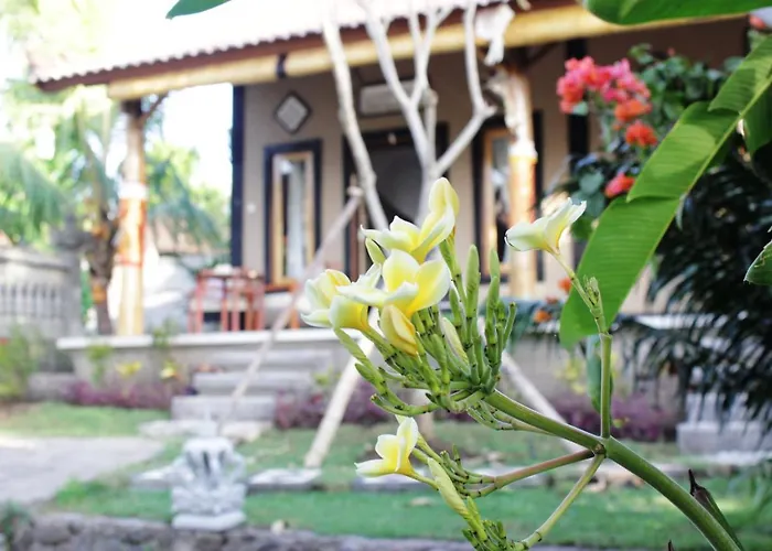 The Banyan Menjangan