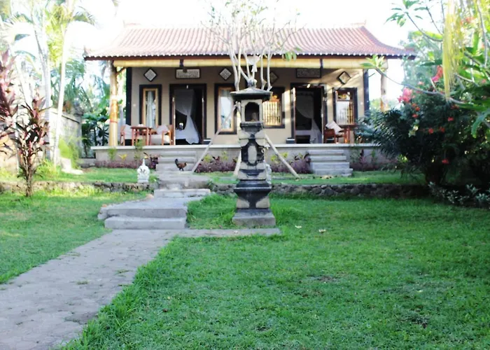 The Banyan Menjangan *