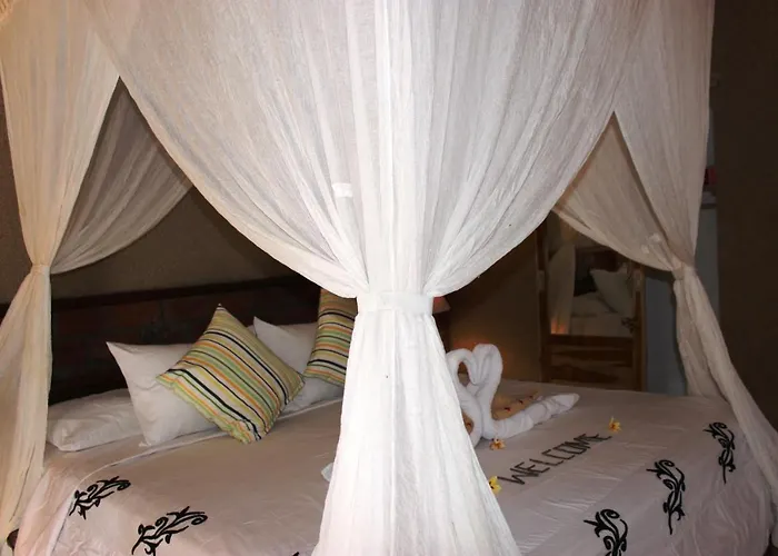 The Banyan Menjangan *