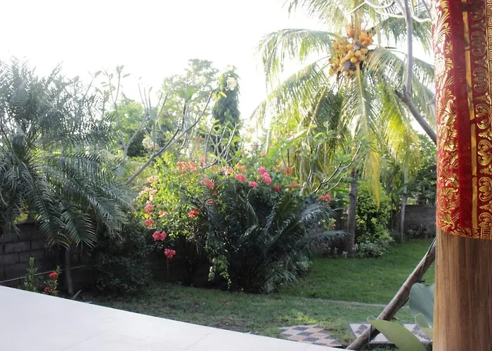 The Banyan Menjangan *